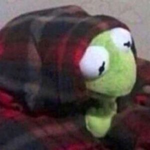 Meet your Posher, Irving